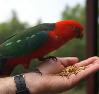 Barrington Tops Escapes - Accommodation Gold Coast