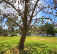 Breakaway Twin Rivers Caravan Park - Accommodation Gold Coast