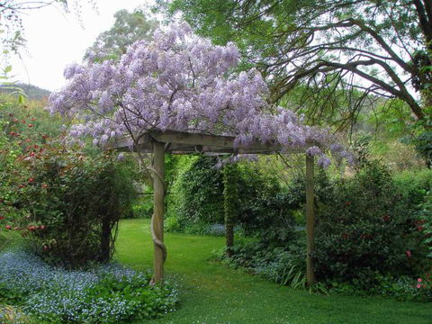 Brookfield Guesthouse - Accommodation Gold Coast 8