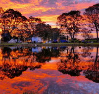 Coonawarra Bush Holiday Park - Accommodation Gold Coast