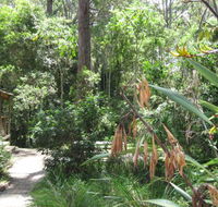Dunns Creek Downs Nature Stay - Accommodation Gold Coast