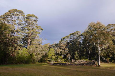 Fernhill Chestnut Farm - Gold Coast 4U 2