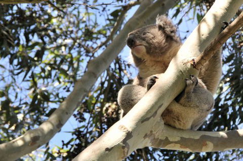 Harmony At Tower Hill - Accommodation Gold Coast 7