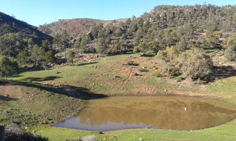 Horseshoe Rim - Wilderness Cabin - Accommodation Gold Coast 0