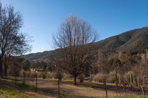 House On Higgs Lane - Accommodation Gold Coast 9