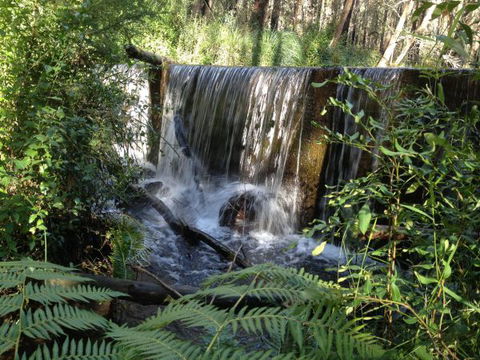 Kinglake Forest Adventures Camp - Accommodation Gold Coast 1