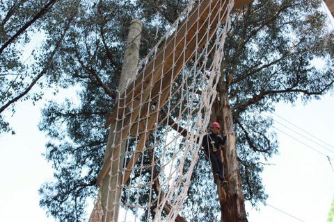Kinglake Forest Adventures Camp - Accommodation Gold Coast 4