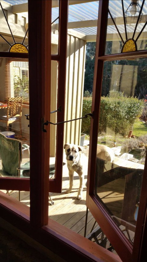 Mara Ponds Branxholm - Accommodation Gold Coast 0