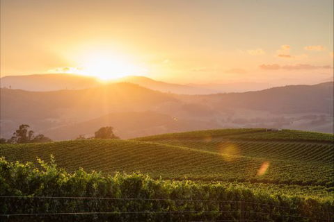 Mt Bellevue Lodge - King Valley - Accommodation Gold Coast 1