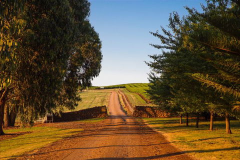 Mt Bellevue Lodge - King Valley - Accommodation Gold Coast 3