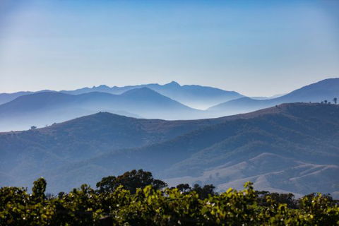 Mt Bellevue Lodge - King Valley - Accommodation Gold Coast 4