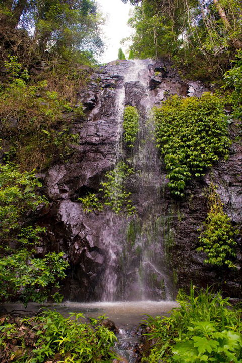 Nimbin Waterfall Retreat - Accommodation Gold Coast 0