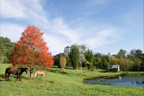Nimbin Waterfall Retreat - Accommodation Gold Coast 1