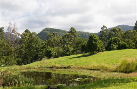 Nimbin Waterfall Retreat - Accommodation Gold Coast 3
