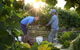 Oakdene Vineyards Guesthouse - thumb 7