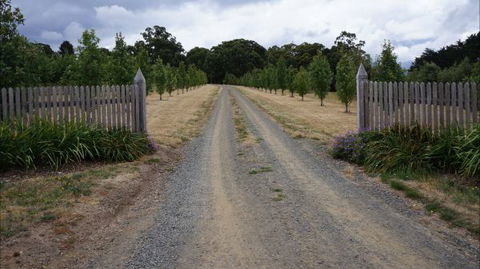 Oakhill Cottage - Accommodation Gold Coast 7
