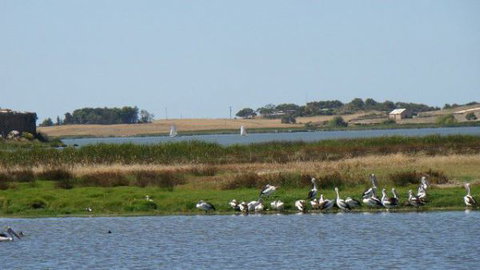 Peppertree Cottage - Accommodation Gold Coast 3