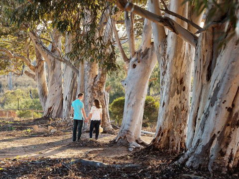 Rilli Retreat - Accommodation Gold Coast 3