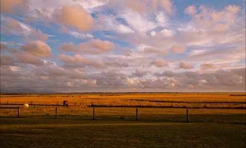 Sanctuary@Waratah - Accommodation Gold Coast 8