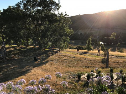 Shearer's Hill - Luxury Farm Stay - Accommodation Gold Coast 9