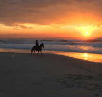 Tassiriki Holiday Cabins - Accommodation Gold Coast