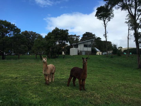 The Old Drik Drik Schoolhouse Retreat - Accommodation Gold Coast 5