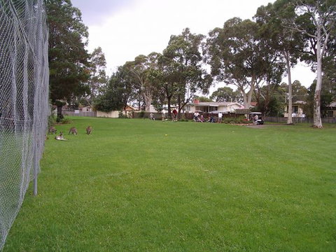 Waratah Cottage - Accommodation Gold Coast 8