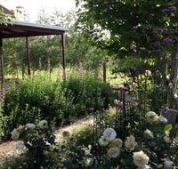 Wandana Bed and Breakfast - Accommodation Gold Coast
