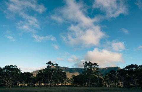 Werriberri - Accommodation Gold Coast 2