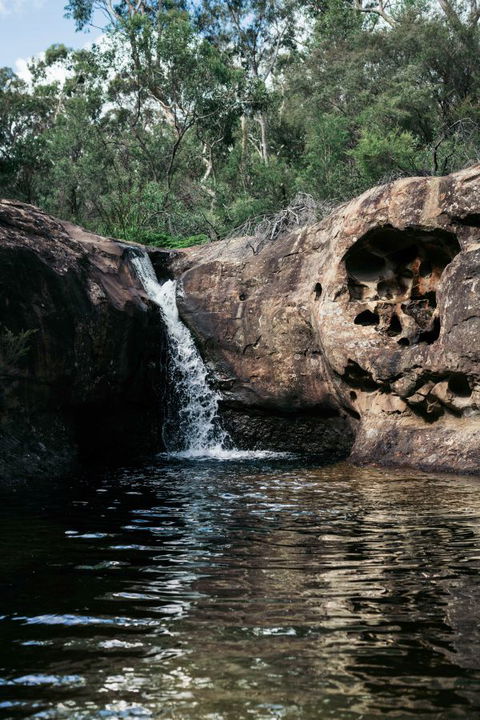 Werriberri - Accommodation Gold Coast 9