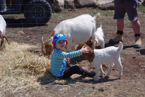 Yalooka Farm - Accommodation Gold Coast 3