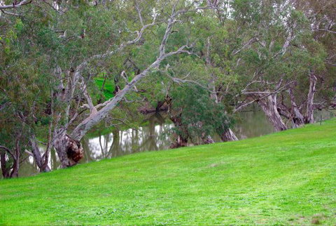 Yalooka Farm - Accommodation Gold Coast 4