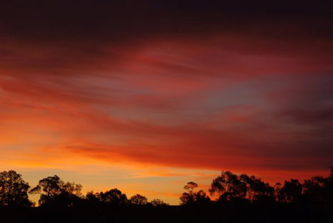 Yalooka Farm - Accommodation Gold Coast 5