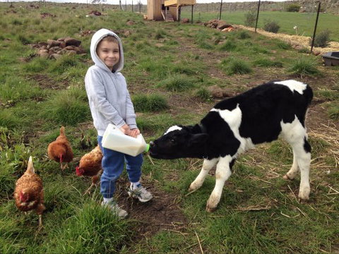 Yalooka Farm - Accommodation Gold Coast 8