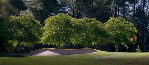 Yowani Country Club - Accommodation Gold Coast 4