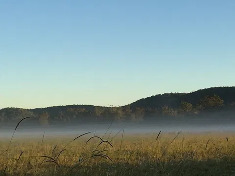 Telegraph Retreat Cottages - Accommodation Gold Coast 1