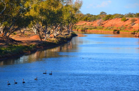Murchison Oasis Roadhouse, Motel, Caravan Park - 1 Gold Coast 2