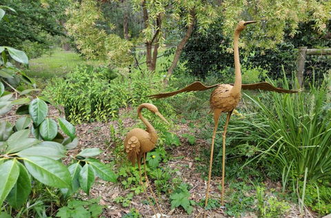 Ferny Hill Retreat - Accommodation Gold Coast 1