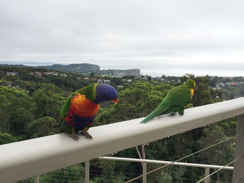 Avalon Horizons - Accommodation Gold Coast 8