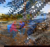 Benarca campground - Accommodation Gold Coast