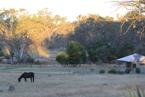 Boongarrie Luxury Tent - Accommodation Gold Coast 7