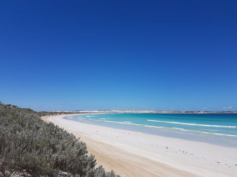Coffin Bay National Park Campgrounds - Accommodation Gold Coast 0