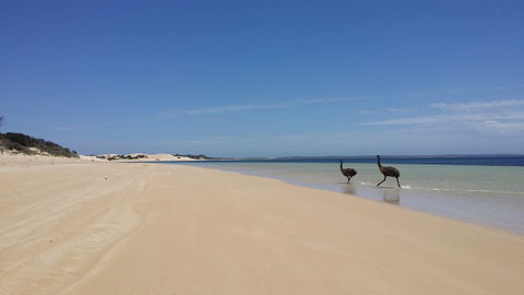 Coffin Bay National Park Campgrounds - Accommodation Gold Coast 3