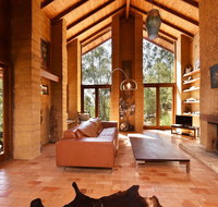 Corymbia - Accommodation Gold Coast