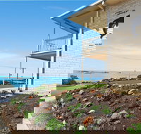 Dolphins 2 - Accommodation Gold Coast