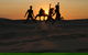 Emerald Tiki Village Caravan Park - thumb 3