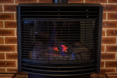 Federation Gardens And Possums Hideaway - Accommodation Gold Coast 5