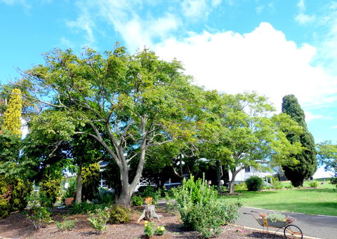 Forest Lodge Highfields - Accommodation Gold Coast 3