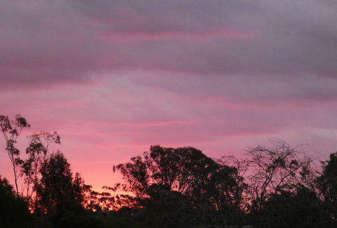 Forest Lodge Highfields - Accommodation Gold Coast 4