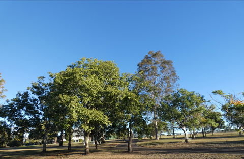 Forest Lodge Highfields - Accommodation Gold Coast 6